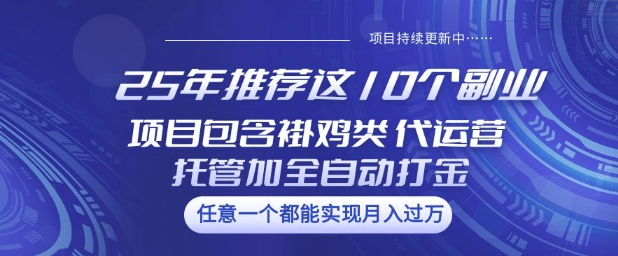 25年推荐这10个副业项目包含褂鸡类、代运营托管类、全自动打金类【揭秘】-AI网创