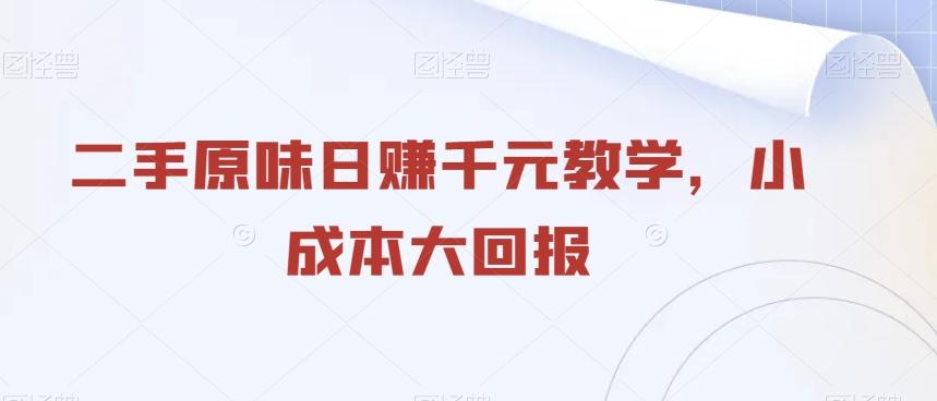 二手原味日赚千元教学，小成本大回报-AI网创