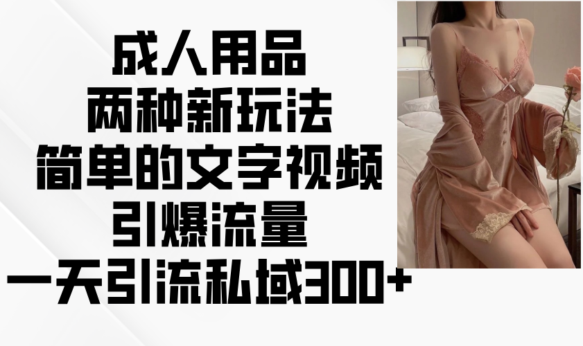 成人用品两种新玩法，简单的文字视频引爆流量，一天引流私域300+-AI网创