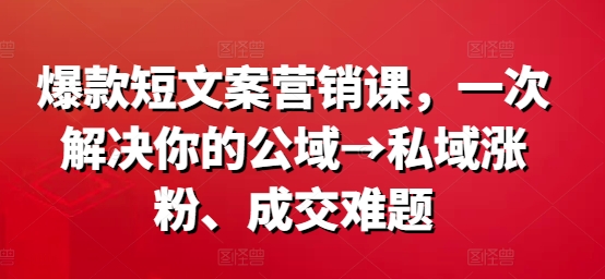 爆款短文案营销课，一次解决你的公域→私域涨粉、成交难题-AI网创