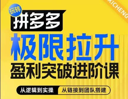 拼多多极限拉升盈利突破进阶课，​从算法到玩法，从玩法到团队搭建，体系化系统性帮助商家实现利润提升-AI网创