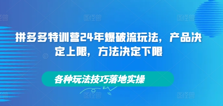 拼多多特训营24年爆破流玩法，产品决定上限，方法决定下限，各种玩法技巧落地实操-AI网创