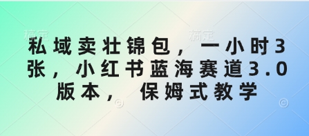 私域卖壮锦包，一小时3张，小红书蓝海赛道3.0版本， 保姆式教学-AI网创