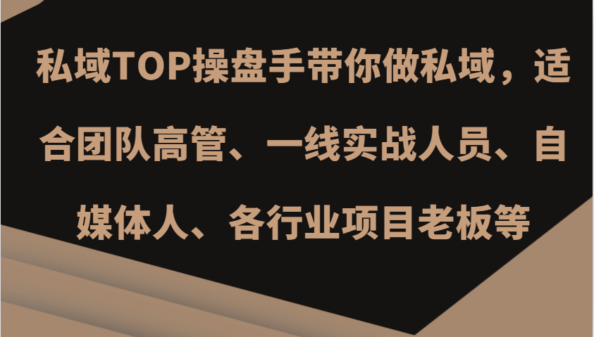 私域TOP操盘手带你做私域，适合团队高管、一线实战人员、自媒体人、各行业项目老板等-AI网创