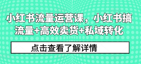 小红书流量运营课，小红书搞流量+高效卖货+私域转化-AI网创