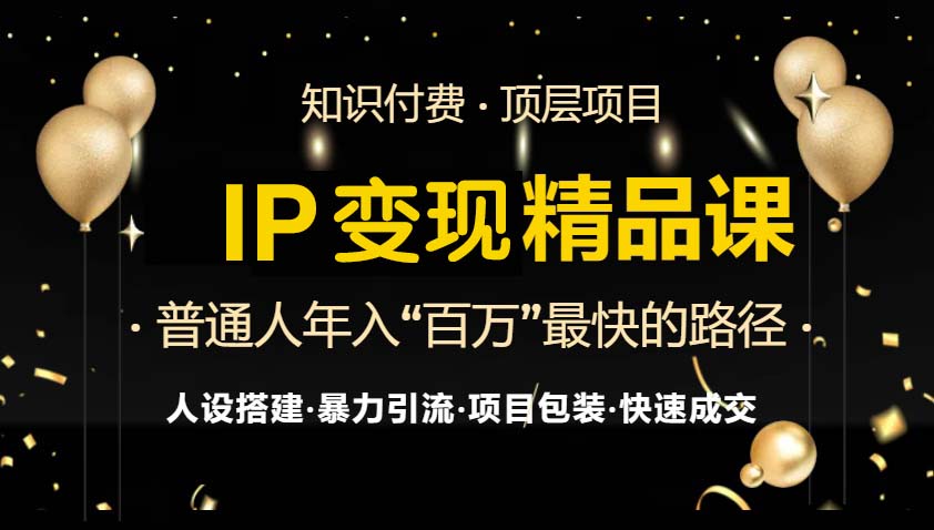 IP变现最新精品课程，知识付费全流程+最强引流术+小白避坑指南-AI网创