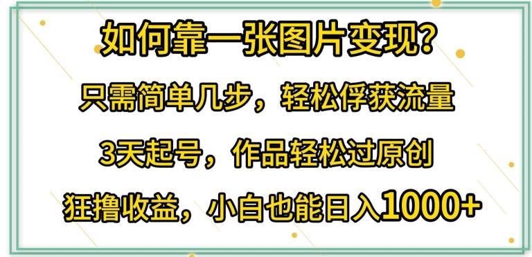 如何靠一张图片变现?只需简单几步，轻松俘获流量，3天起号，作品轻松过原创【揭秘】-AI网创