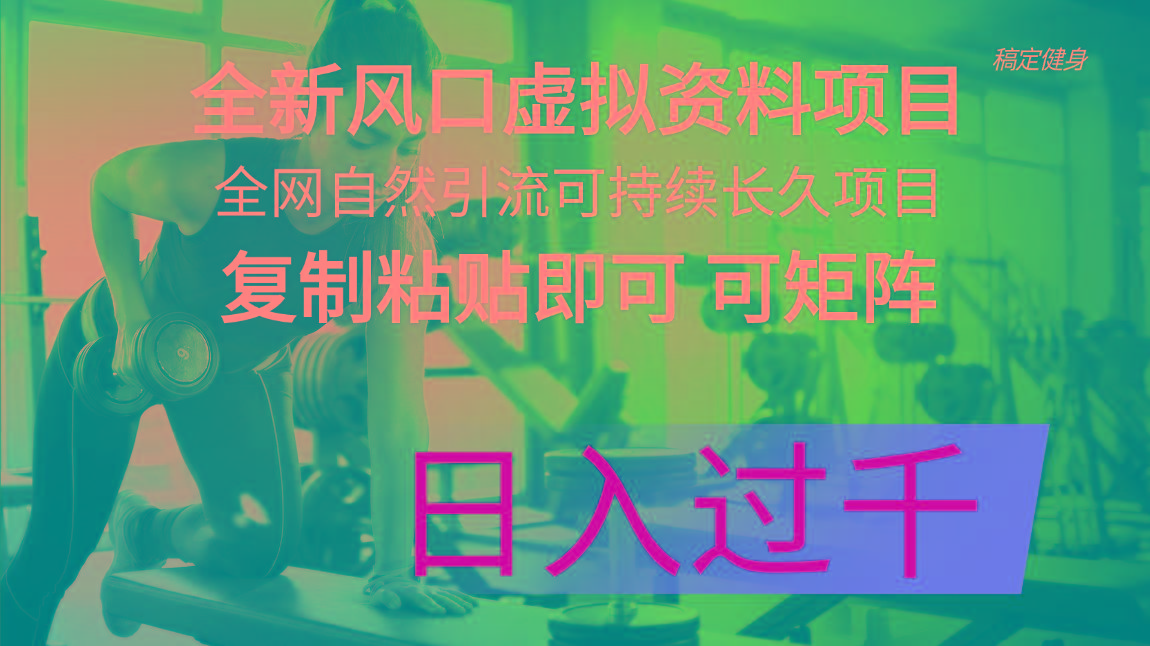 全新风口虚拟资料项目 全网自然引流可持续长久项目 复制粘贴即可可矩阵…-AI网创