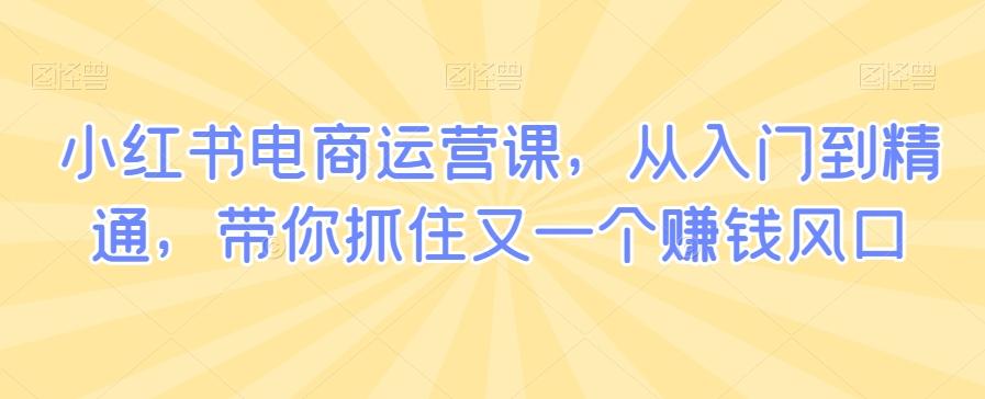 小红书电商运营课，从入门到精通，带你抓住又一个赚钱风口-AI网创