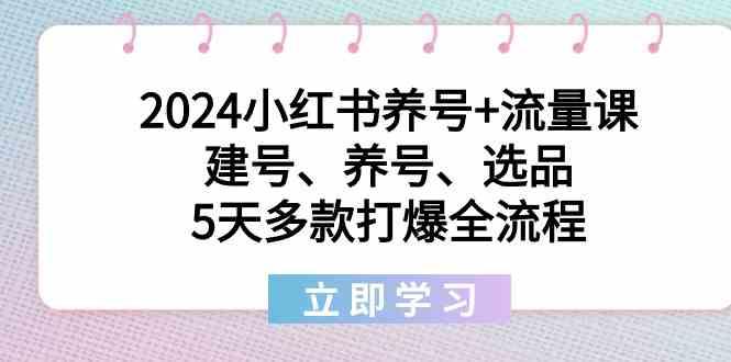 2024小红书养号+流量课：建号、养号、选品，5天多款打爆全流程-AI网创