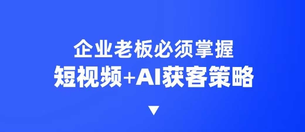 企业短视频AI获客霸屏流量课，6步短视频+AI突围法，3大霸屏抢客策略-AI网创