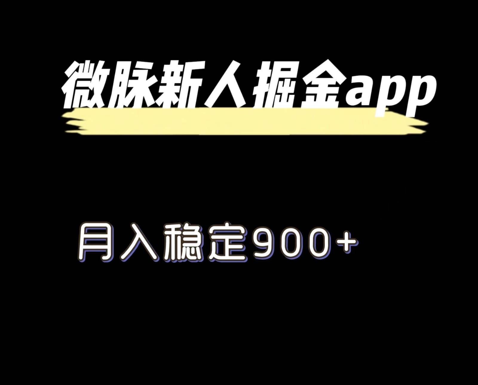 最新微脉长久项目，拉新掘金，月入稳定900+-AI网创