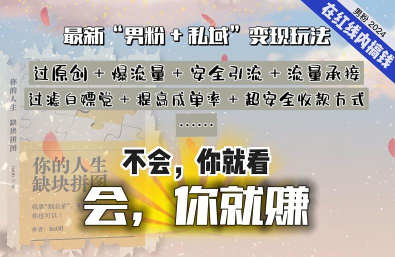 2024，“男粉+私域”还是最耐造、最赚、最轻松、最愉快的变现方式【揭秘】-AI网创