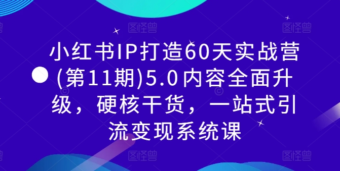 小红书IP打造60天实战营(第11期)5.0​内容全面升级，硬核干货，一站式引流变现系统课-AI网创