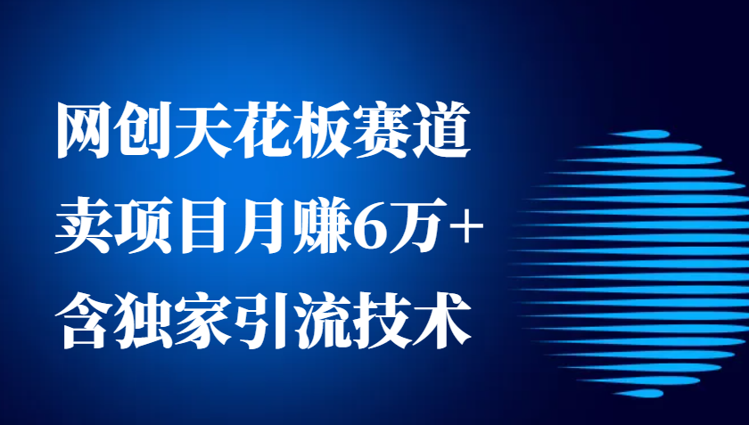 网创天花板赛道，卖项目月赚6万+，含独家引流技术(共26节课)-AI网创