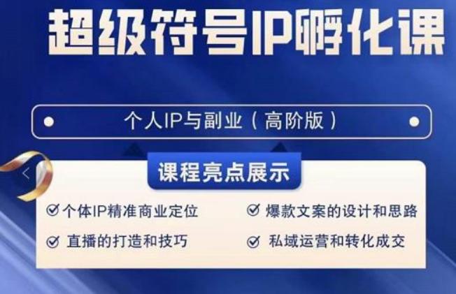 超级符号IP孵化高阶课，建立流量思维底层逻辑，打造属于自己IP（51节课）-AI网创
