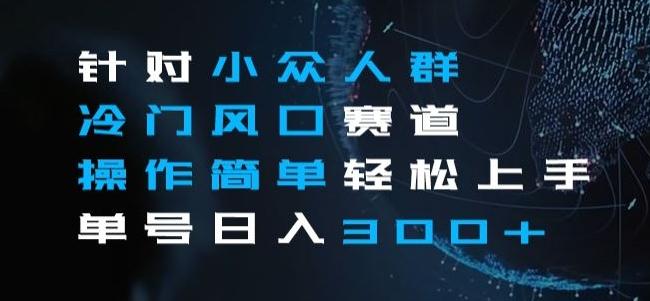 针对小众人群冷门风口赛道，操作简单轻松上手单号日入300+-AI网创