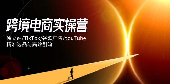 跨境电商实操营：独立站/TikTok/谷歌广告/YouTube，精准选品与高效引流-自学网资源