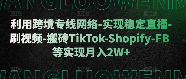 利用跨境专线网络-实现稳定直播-刷视频-搬砖TikTok-Shopify-FB等实现月入2W+【揭秘】-AI网创