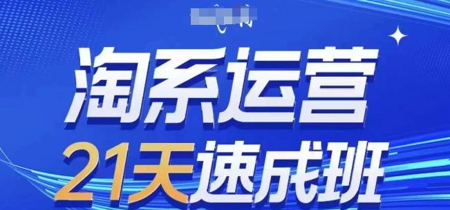 淘系运营21天速成班(更新24年7月)，0基础轻松搞定淘系运营，不做假把式-AI网创