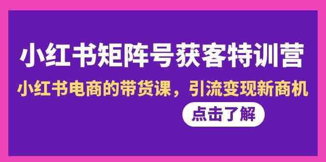 小红书矩阵号获客特训营-第10期，小红书电商的带货课，引流变现新商机-AI网创