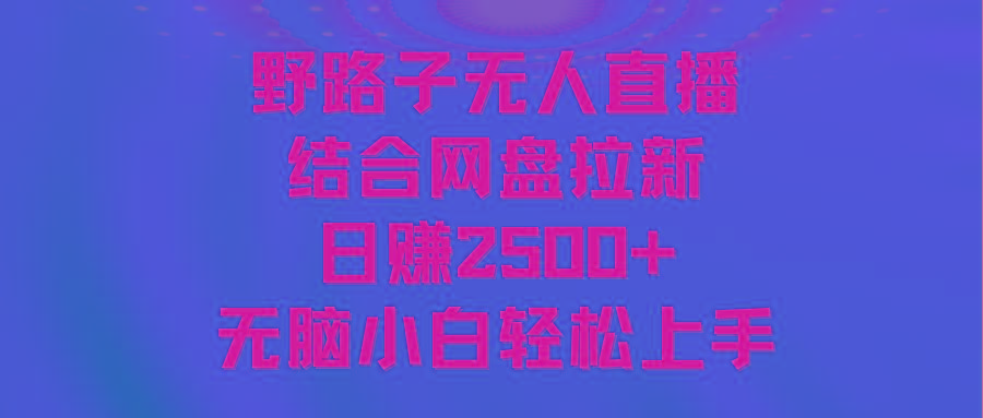 无人直播野路子结合网盘拉新，日赚2500+多平台变现，小白无脑轻松上手操作-AI网创