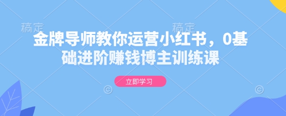 金牌导师教你运营小红书，0基础进阶赚钱博主训练课-AI网创