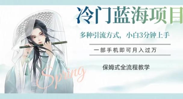 冷门蓝海项目，操作简单，小白3分钟上手，多种引流方式，保姆式全流程教学【揭秘】-AI网创