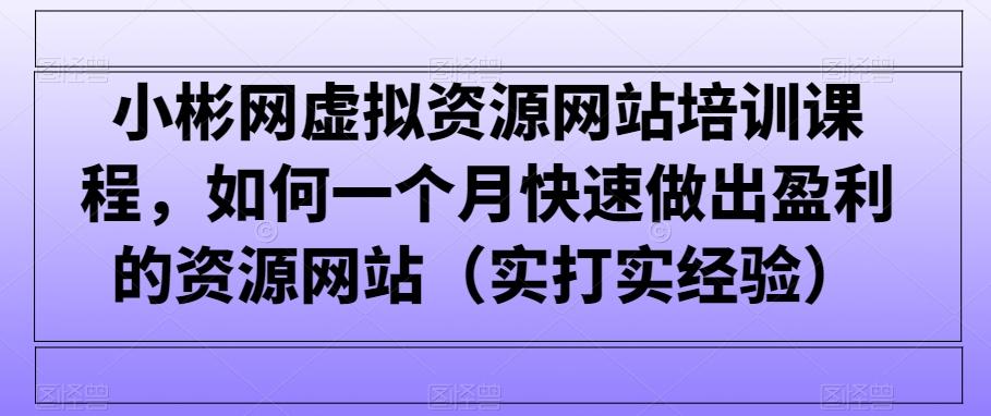 小彬网虚拟资源网站培训课程，如何一个月快速做出盈利的资源网站(实打实经验)-AI网创