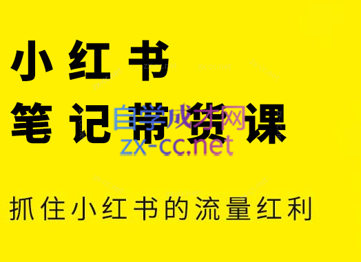 张宾·小红书笔记带货课(更新24年7月)-AI网创
