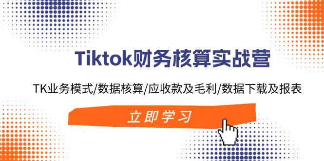 Tiktok财务核算实战营：TK业务模式/数据核算/应收款及毛利/数据下载及报表-AI网创