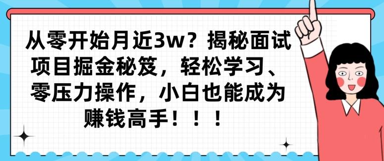 从零开始月近3w？揭秘面试项目掘金秘笈，轻松学习、零压力操作，小白也能成为赚钱高手-AI网创