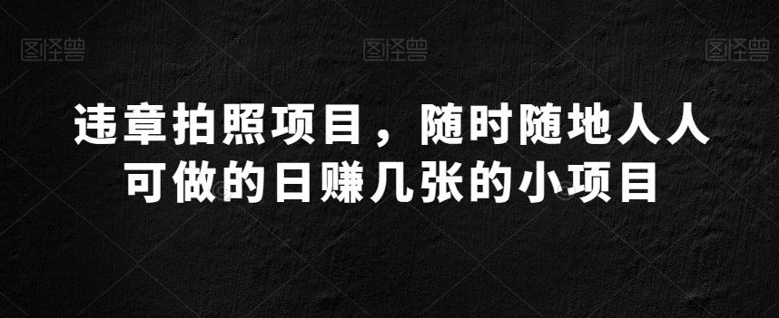 违章拍照项目，随时随地人人可做的日赚几张的小项目-AI网创