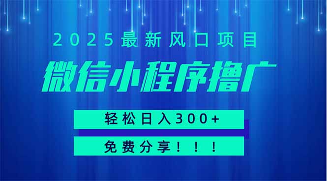 微信小程序撸广，最新风口项目，日入300+ 免费分享 可批量操作 小白可…-AI网创