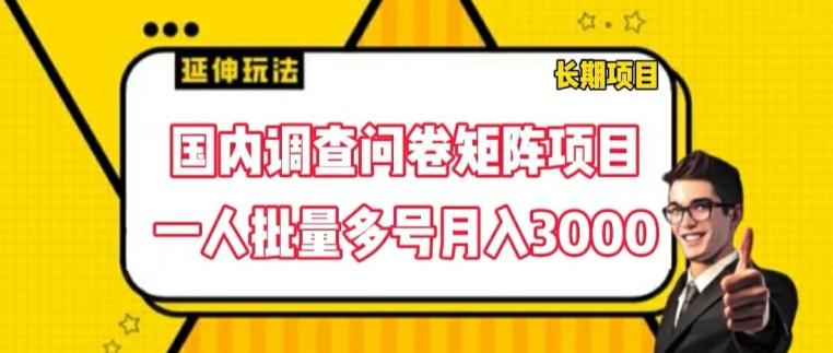 国内调查问卷矩阵项目，一人批量多号月入3000【揭秘】-AI网创