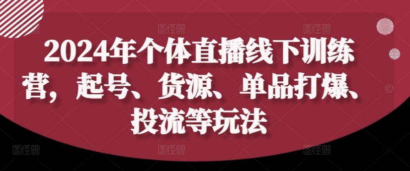 2024年个体直播训练营，起号、货源、单品打爆、投流等玩法-AI网创