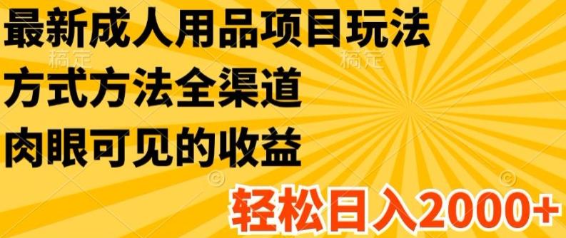最新成人用品项目玩法，方式方法全渠道，轻松日入2K+【揭秘】-AI网创