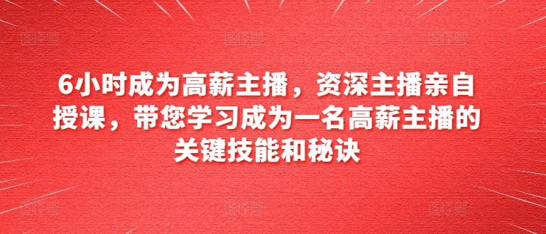 6小时成为高薪主播，资深主播亲自授课，带您学习成为一名高薪主播的关键技能和秘诀-AI网创