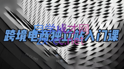 团长·跨境电商独立站入门课(2小时精华)-AI网创
