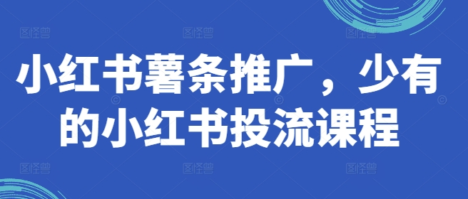 小红书薯条推广，少有的小红书投流课程-AI网创