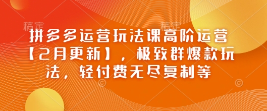 拼多多运营玩法课高阶运营【2月更新】，极致群爆款玩法，轻付费无尽复制等-AI网创