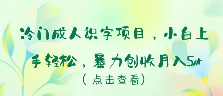 冷门成人识字项目，小白上手轻松，暴力创收月入5w+【揭秘】-AI网创