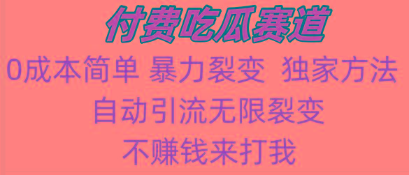 吃瓜付费赛道，暴力无限裂变，0成本，实测日入700+！！！-AI网创