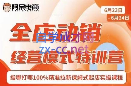 阿呆电商·全店动销经营模式特训营(线下录音+思维导图)-AI网创