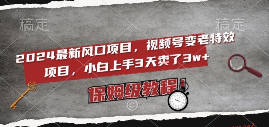 2024最新风口项目，视频号变老特效项目，电脑小白上手3天卖了3w+，保姆级教程【揭秘】-AI网创