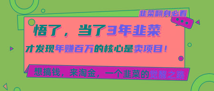 悟了，当了3年韭菜，才发现网赚圈年赚100万的核心是卖项目，含泪分享！-AI网创