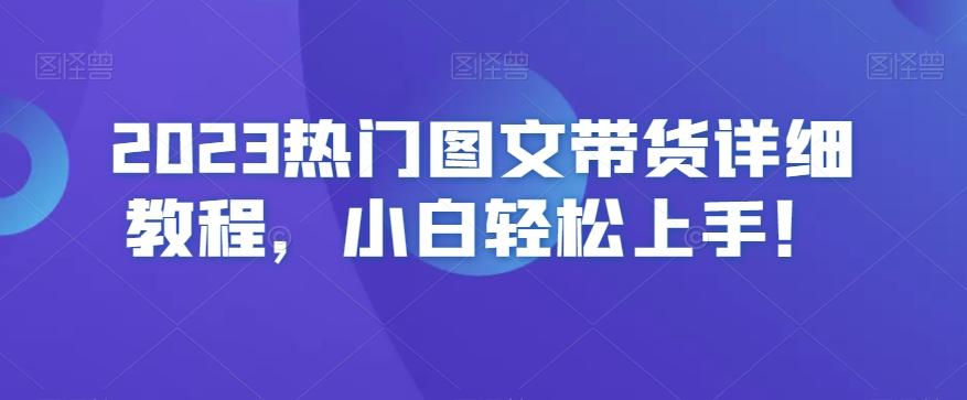 2023热门图文带货详细教程，小白轻松上手！-AI网创