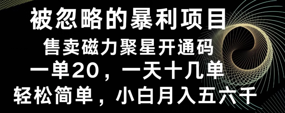 被忽略的暴利项目！售卖磁力聚星开通码，一单20，一天十几单，轻松月入五六千-AI网创