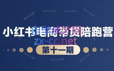 盗坤·小红书电商带货陪跑营(第十一期)-AI网创