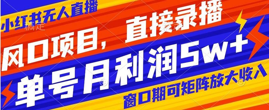 风口项目，小红书无人直播带货，直接录播，可矩阵，月入5w+【揭秘】-AI网创